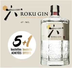 5+1 GIN JAPONAIS ROKU 70cl 