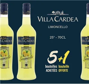5+1 LIMONCELLO VILLA CARDEA