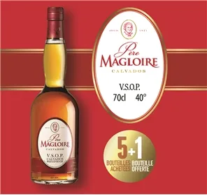 5+1 CALVADOS PERE MAGLOIRE VSOP 70CL 