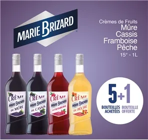5+1 CREMES DE FRUITS MARIE BRIZARD 1L