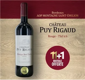 11+1 CHATEAU PUY RIGAUD MONTAGNE ST EMILION