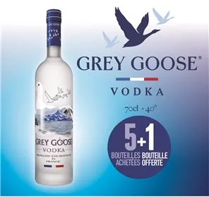 5+1 VODKA GREY GOOSE 70CL